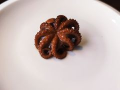 活八爪鱼炖红烧肉-赶海部落海鲜城(海阳路店)