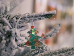 -iF摄影•全家福•证件照•形象照(南山店)