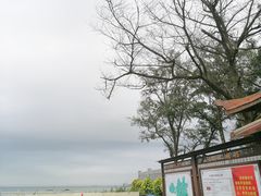 门面-宋井风景区