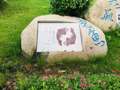 -杭州湾海上花田景区