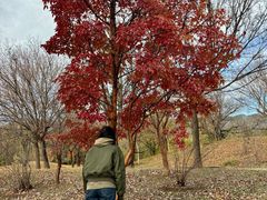 -国家植物园南园