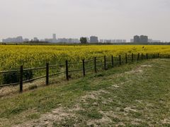 -汉长安城未央宫国家考古遗址公园