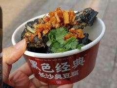 -黑色经典臭豆腐·湖南特产(潇湘文化店)