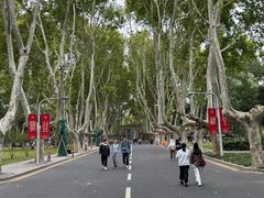 -东南大学(四牌楼校区)