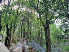 -南山植物园