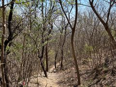 -北京西山国家森林公园