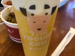 -一只酸奶牛(八一路店)