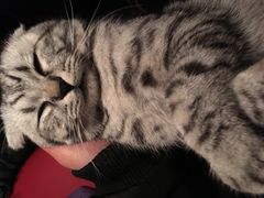 -骐奇宠物诊疗中心(南亭公路店)