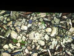 -SFC上影影城(北京大兴龙湖天街IMAX店)