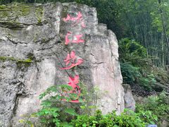 -铁山坪森林公园