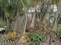 -南山植物园