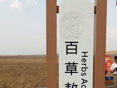 -百草敖包
