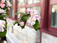 -京兆尹(雍和宫店)