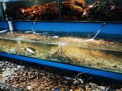 -港畔赶海蒸汽海鲜烧烤自助(仙螺岛店)