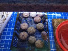 -鼎泰亨·海鲜牛肉餐厅(滨江店)