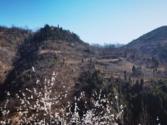 -秦岭风景区