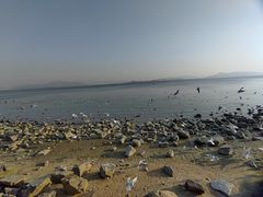 -深圳湾公园(南山区)