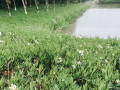 -琅岐红光湖公园