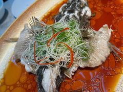 -曼格纳·曼芯馆(杨浦店)