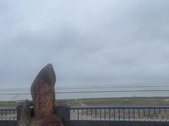 -合肥滨湖国家森林公园