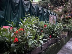 -金豆子幼稚园