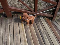 -萍乡武功山风景名胜区