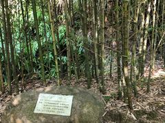 -福建鲤鱼洲酒店