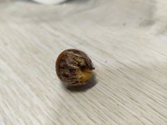 -金粒门·新鲜零食(坡子街店)
