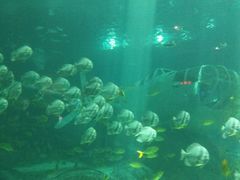 -福州罗源湾海洋世界旅游区