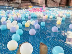 -中家鑫园温泉酒店鑫悦汤泉