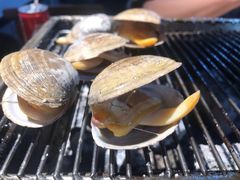 黄蚬子-丹东特色烤肉(南光三部店)