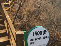 -大岭沟猕猴桃谷风景区