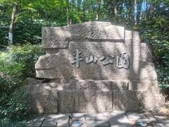 -杭州半山国家森林公园