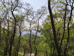 -青岛铁橛山风景区