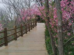 -长岛南北长山旅游景区