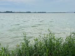 -漕湖湿地公园