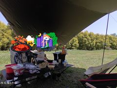 -白鹭湾湿地公园