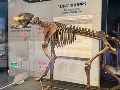 -北京周口店北京人遗址博物馆