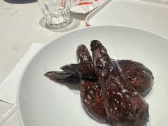 -杨氏青龙虾·羊蝎子(托乐嘉店)