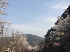 -品渔味湖鲜馆(拈花湾店)