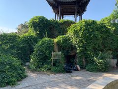 -北京世界公园