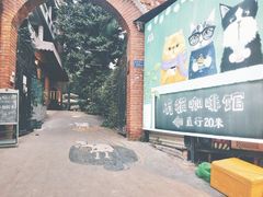 -有猫主题·治愈系猫咖(曾厝垵店)