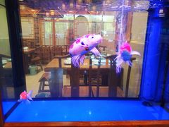 -东来菜馆•手抓海鲜家常菜•海鲜锅贴(鸽子窝店)