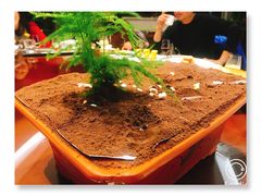 明仕涧水绕竹流-明仕田园酒店