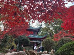 -岳麓山风景名胜区