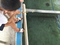 -小象钓虾·营地烧烤(洛溪店)