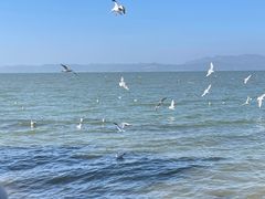 -捞渔河湿地公园
