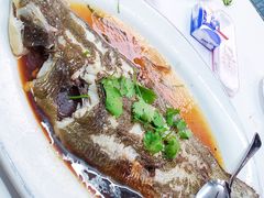 清蒸龙脷鱼-新陶陶酒家