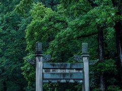 -灵谷景区