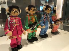 -济州岛泰迪熊博物馆